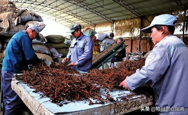 图片[3]-适合年轻人白手起家的冷门小生意，做好发家致富不难-万图副业网