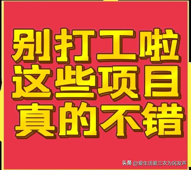 比打工强的小生意，农村小项目有哪些-万图副业网