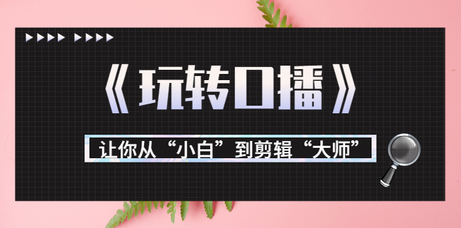 【副业项目3987期】月营业额700万+大佬教您《玩转口播》让你从“小白”到剪辑“大师”-万图副业网