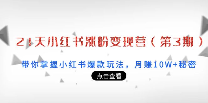 【副业项目4158期】21天小红书涨粉变现营（第3期）：带你掌握小红书爆款玩法，月赚10W+秘密-万图副业网