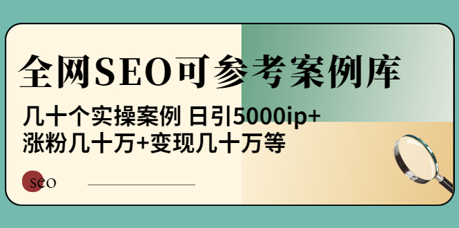 【副业项目4188期】《全网SEO可参考案例库》几十个实操案例 日引5000ip+涨粉百W+变现几十W等-万图副业网