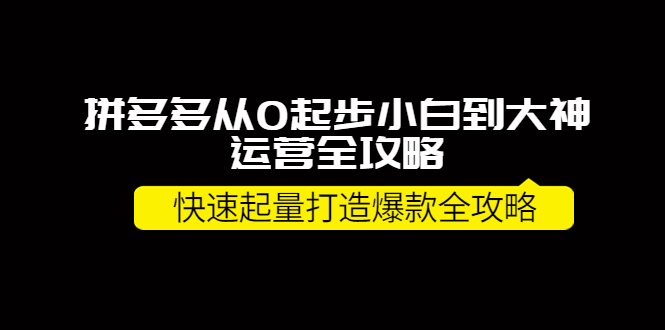 【副业项目4227期】拼多多从0起步小白到大神运营全攻略，快速起量打造10W+爆款全攻略-万图副业网