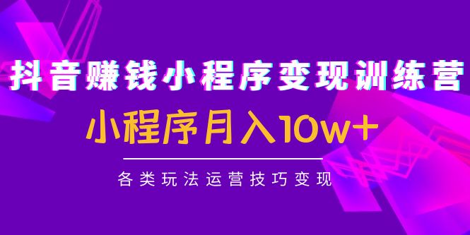 【副业项目4765期】抖音赚钱小程序变现训练营：小程序月入10w+各类玩法运营技巧变现-万图副业网