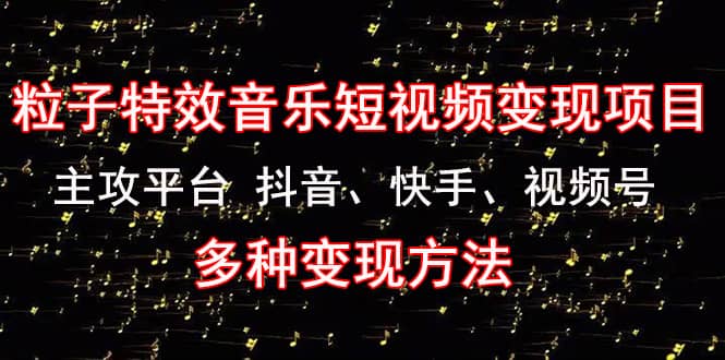 【副业项目4821期】《粒子特效音乐短视频变现项目》主攻平台 抖音、快手、视频号 多种变现方法-万图副业网