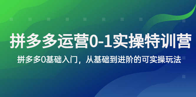 【副业项目5801期】拼多多-运营0-1实操训练营，拼多多0基础入门，从基础到进阶的可实操玩法-万图副业网