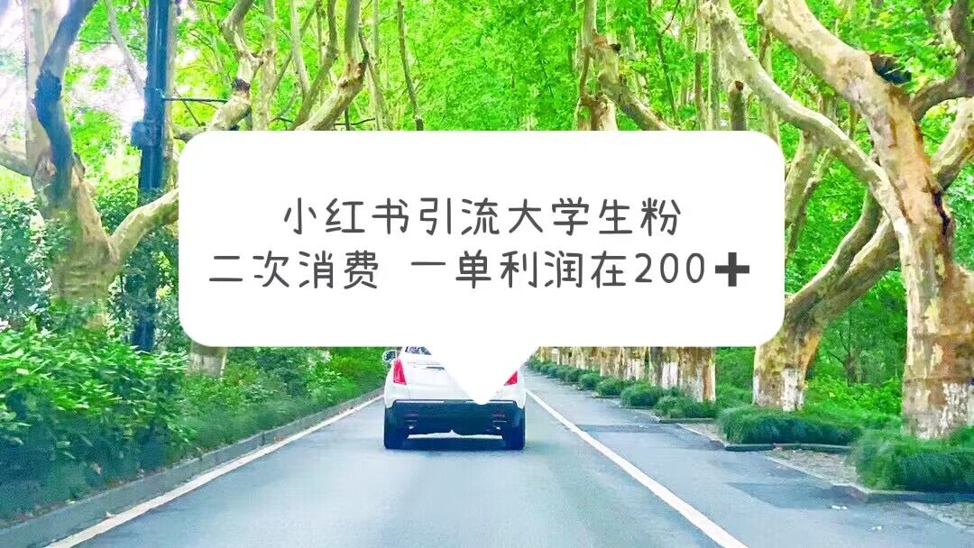 【副业项目5937期】小红书引流大学生粉，变现项目，一单利润在200+（教程+资源）-万图副业网