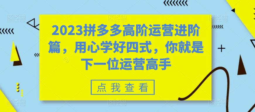 【副业项目6241期】2023拼多多高阶运营进阶篇，用心学好四式，你就是下一位运营高手-万图副业网