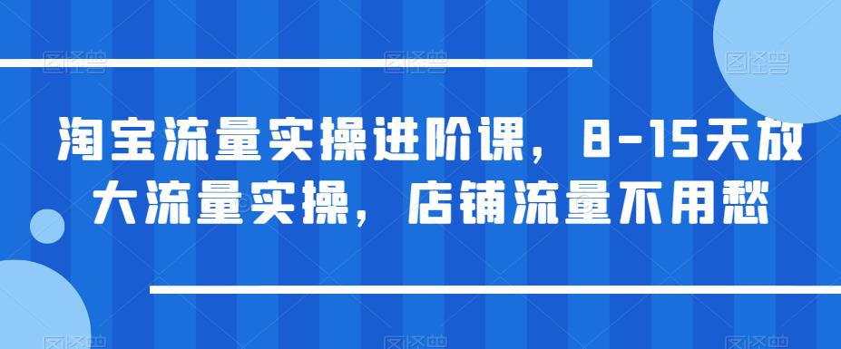 【副业项目6415期】淘宝流量实操进阶课，8-15天放大流量实操，店铺流量不用愁-万图副业网