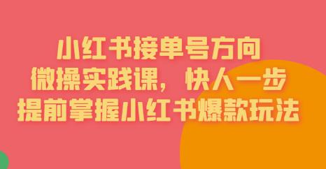 【副业项目6820期】接单号方向·小红书微操实践课，快人一步，提前掌握小红书爆款玩法-万图副业网