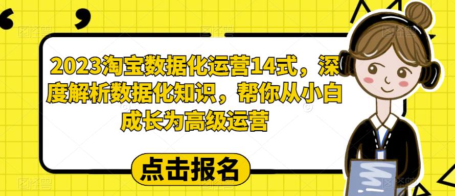 【副业项目6599期】2023淘宝数据化-运营 14式，深度解析数据化知识，帮你从小白成长为高级运营-万图副业网