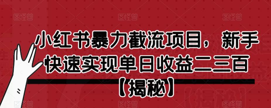 【副业项目6889期】小红书暴力截流项目，新手快速实现单日收益二三百【仅揭秘】-万图副业网