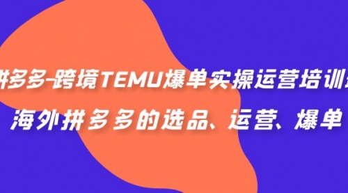 【副业项目7128期】拼多多-跨境TEMU爆单实操运营培训班，海外拼多多的选品、运营、爆单-万图副业网