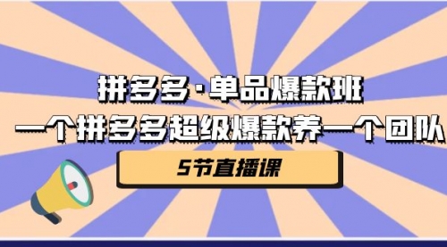 【副业项目第7171期】拼多多·单品爆款班，一个拼多多超级爆款养一个团队-万图副业网