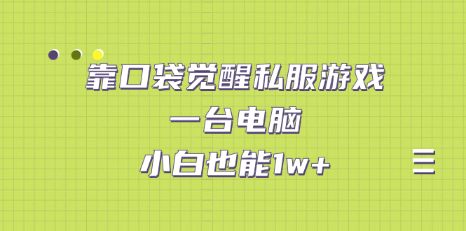 【副业项目7248期】靠口袋觉醒私服游戏，一台电脑，小白也能1w+（教程+工具+资料）-万图副业网