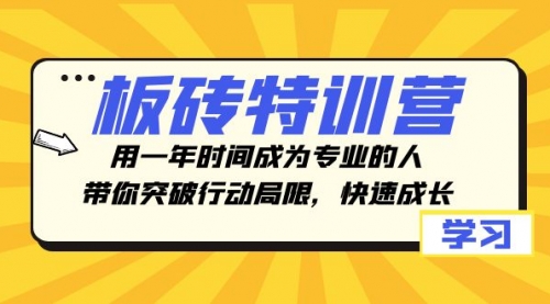 【副业项目8289期】板砖特训营，用一年时间成为专业的人，带你突破行动局限，快速成长-万图副业网