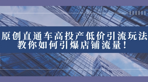 【副业项目8402期】2023直通车高投产低价引流玩法，教你如何引爆店铺流量！-万图副业网