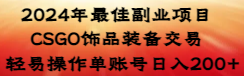 【副业8982期】2024年最佳副业项目 CSGO饰品装备交易 轻易操作单账号日入200+-万图副业网