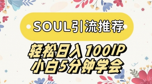 【副业9006期】SOUL引流推荐 轻松日入100IP 小白5分钟学会-万图副业网