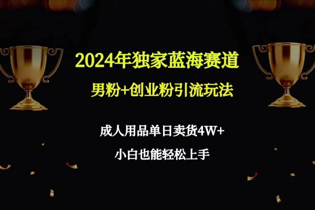 2024年独家蓝海赛道男粉+创业粉引流玩法，成人用品单日卖货4W+保姆教程-万图副业网