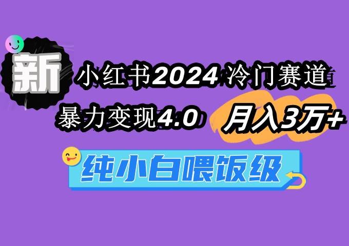 小红书2024冷门赛道 月入3万+ 暴力变现4.0 纯小白喂饭级-万图副业网