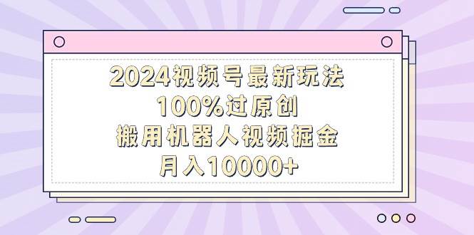 2024视频号最新玩法，100%过原创，搬用机器人视频掘金，月入10000+-万图副业网