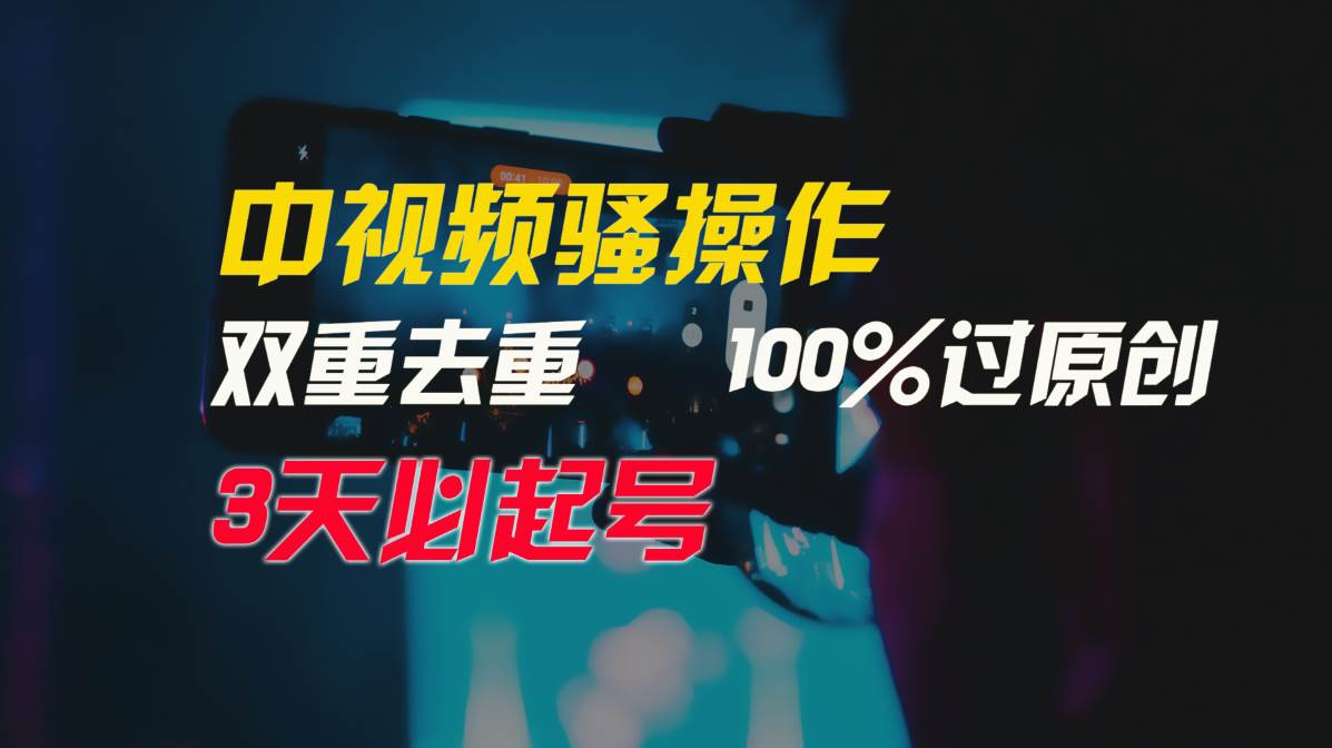 中视频骚操作，双重去重100%过原创，3天比必起号，简单无脑，月入3W+-万图副业网