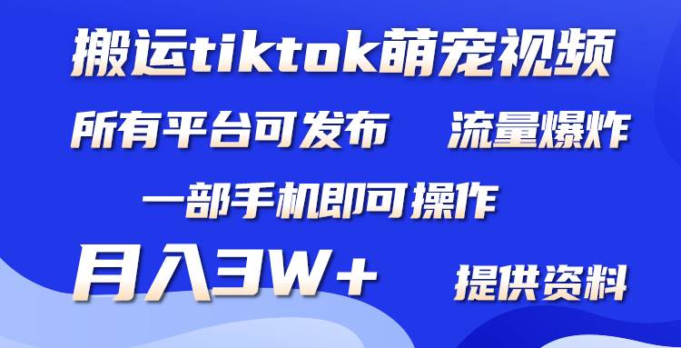 搬运Tiktok萌宠类视频，一部手机即可。所有短视频平台均可操作，月入3W+-万图副业网