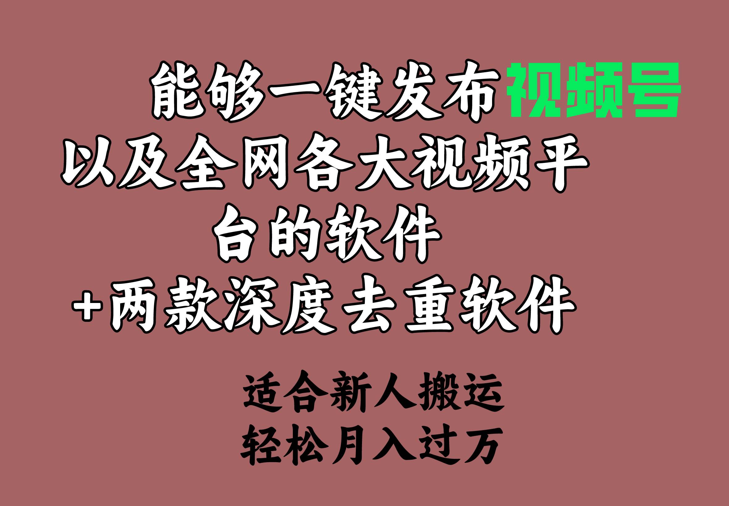 能够一键发布视频号以及全网各大视频平台的软件+两款深度去重软件 适合…-万图副业网