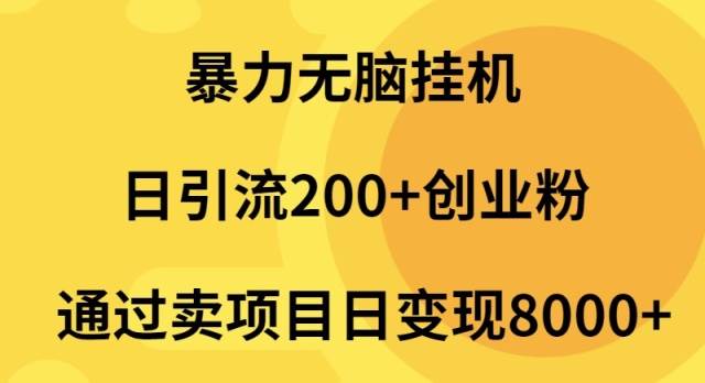 暴力无脑挂机日引流200+创业粉通过卖项目日变现2000+-万图副业网