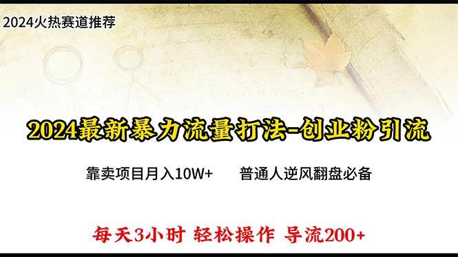 2024年最新暴力流量打法，每日导入300+，靠卖项目月入10W+-万图副业网