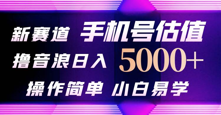 抖音不出境直播【手机号估值】最新撸音浪，日入5000+，简单易学，适合…-万图副业网