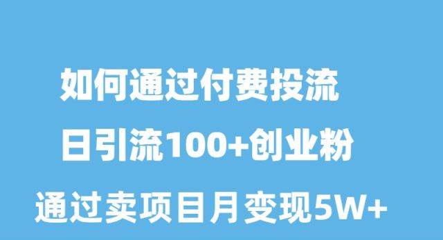 如何通过付费投流日引流100+创业粉月变现5W+-万图副业网