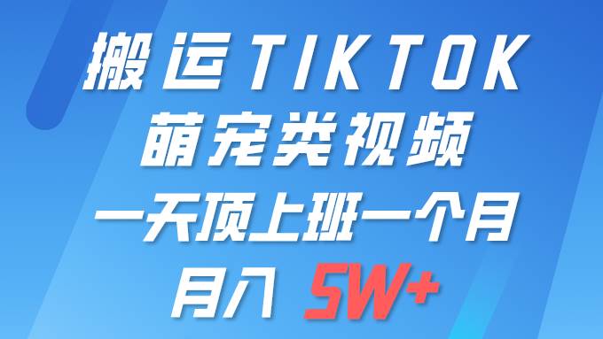 一键搬运TIKTOK萌宠类视频 一部手机即可操作 所有平台均可发布 轻松月入5W+-万图副业网