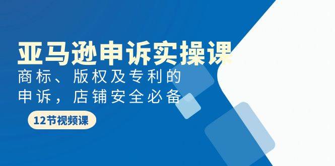 亚马逊-申诉实战课，商标、版权及专利的申诉，店铺安全必备-万图副业网