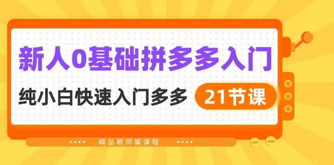 新人0基础拼多多入门，纯小白快速入门多多（21节课）-万图副业网