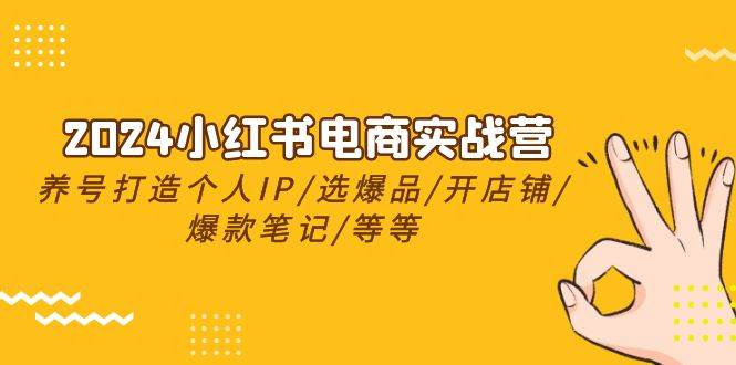 2024小红书电商实战营，养号打造IP/选爆品/开店铺/爆款笔记/等等（24节）-万图副业网