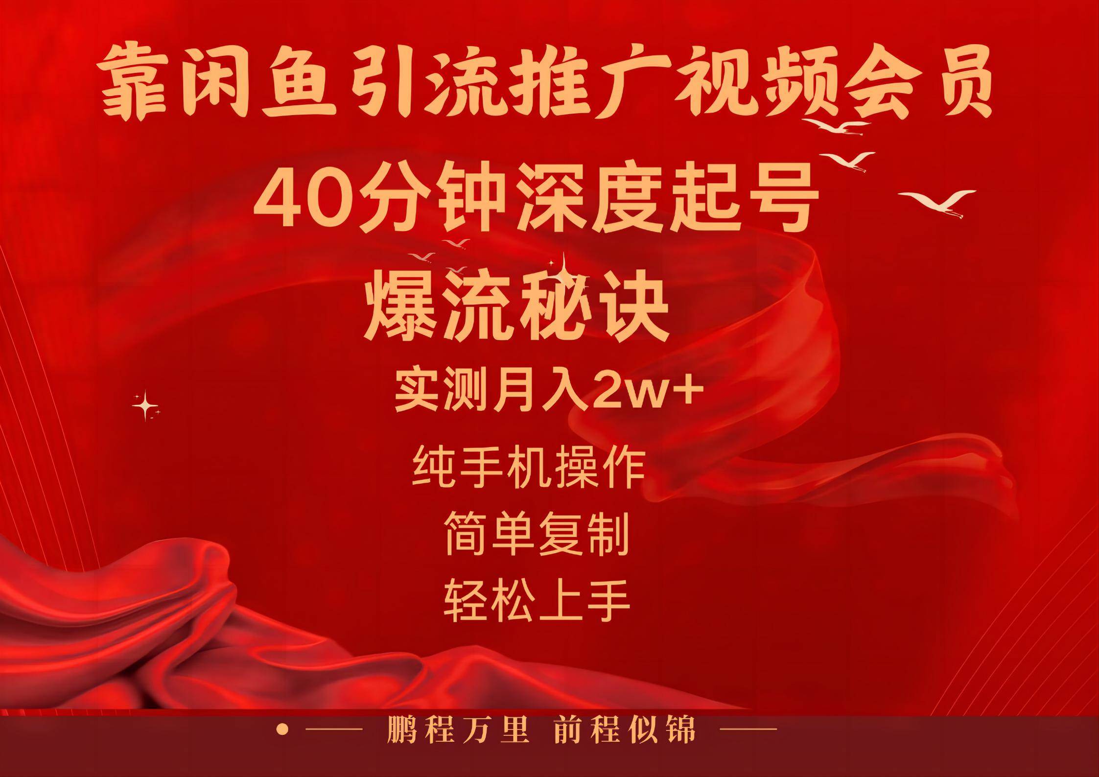 闲鱼暴力引流推广视频会员，能做到日入2W+，操作简单-万图副业网