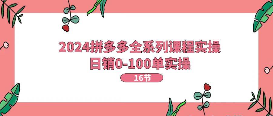 2024拼多多全系列课程实操，日销0-100单实操【16节课】-万图副业网