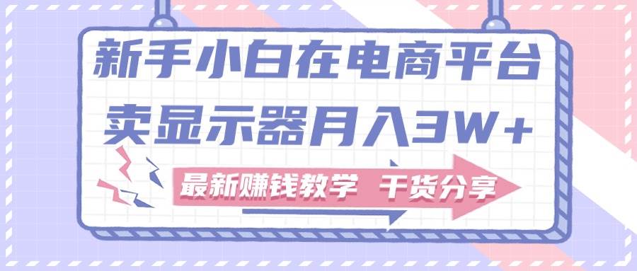 新手小白如何做到在电商平台卖显示器月入3W+，最新赚钱教学干货分享-万图副业网