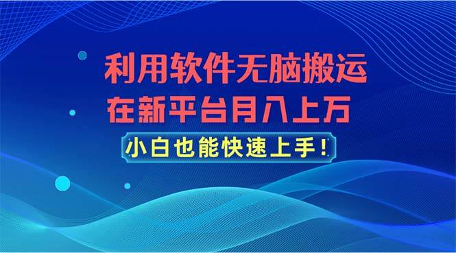 利用软件无脑搬运，在新平台月入上万，小白也能快速上手-万图副业网