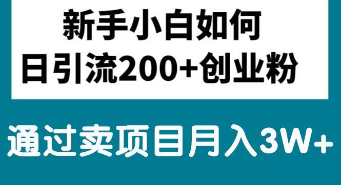 新手小白日引流200+创业粉,通过卖项目月入3W+-万图副业网