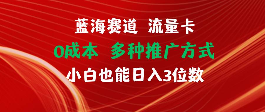 蓝海赛道 流量卡 0成本 小白也能日入三位数-万图副业网