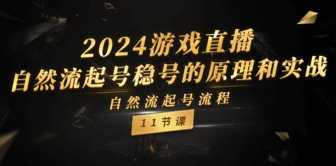 2024游戏直播-自然流起号稳号的原理和实战，自然流起号流程（11节）-万图副业网