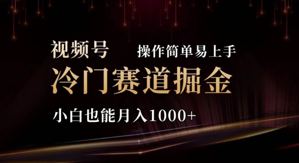 2024视频号冷门赛道掘金，操作简单轻松上手，小白也能月入1000+-万图副业网