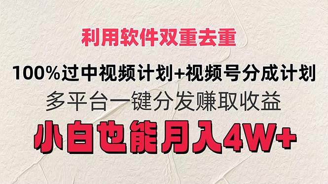 图片[1]-利用软件双重去重，100%过中视频+视频号分成计划小白也可以月入4W+-万图副业网