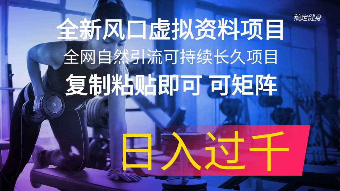 全新风口虚拟资料项目 全网自然引流可持续长久项目 复制粘贴即可可矩阵…-万图副业网