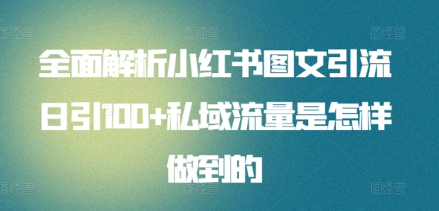 全面解析小红书图文引流日引100私域流量是怎样做到的-万图副业网