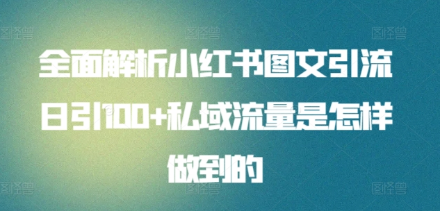 日引流100私域流量小红书图文是怎样做到的全面解析-万图副业网