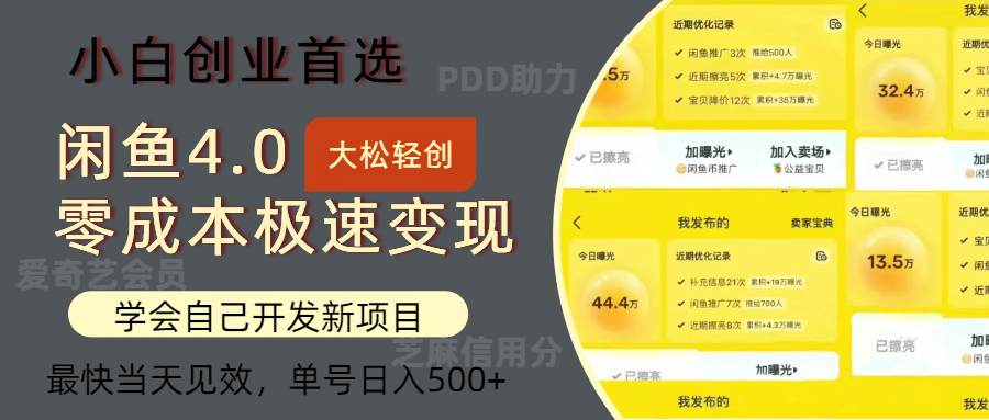 闲鱼0成本极速变现项目，多种变现方式，单号日入500+最新玩法-万图副业网