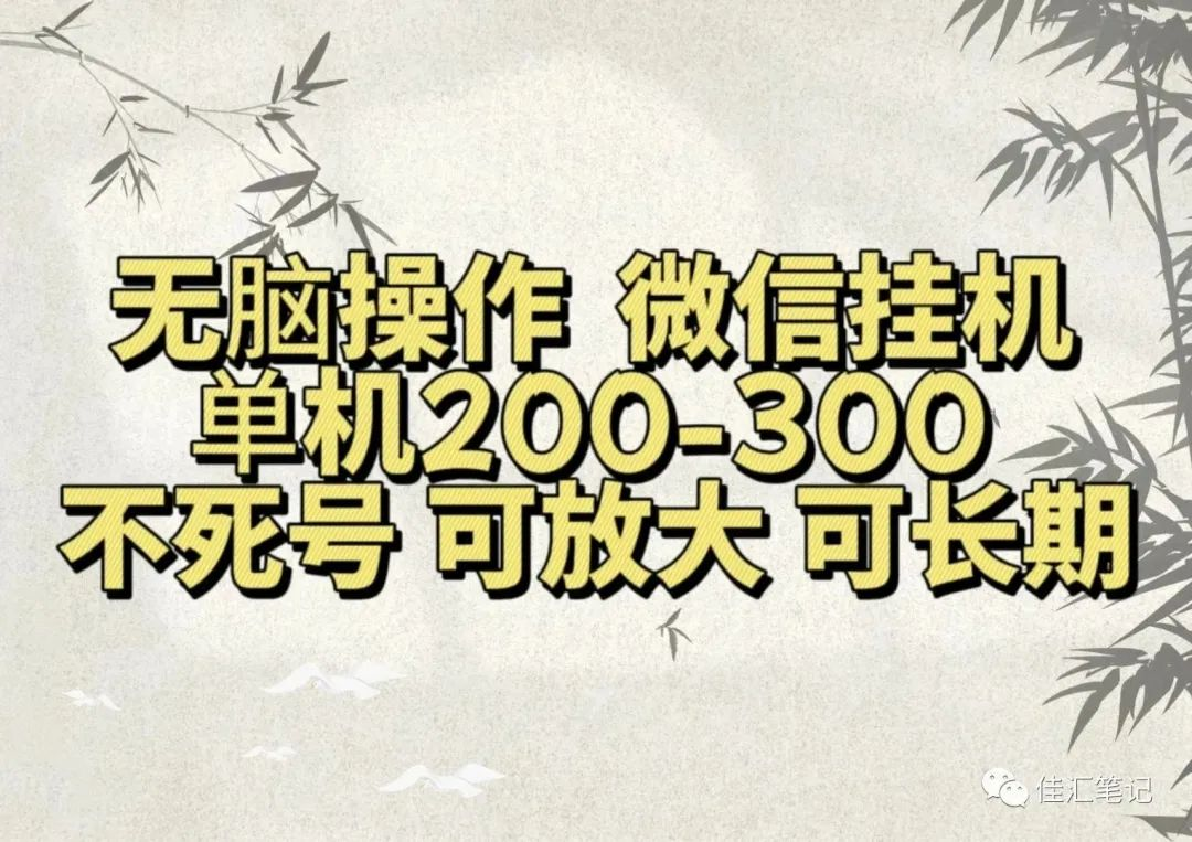 无脑操作微信视频号挂机单机200-300一天，不死号，可放大，工作室实测-万图副业网